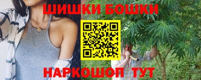 гидра Будённовск