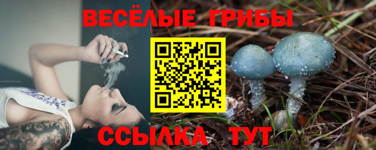 Галлюциногенные грибы MAGIC MUSHROOMS Кисловодск