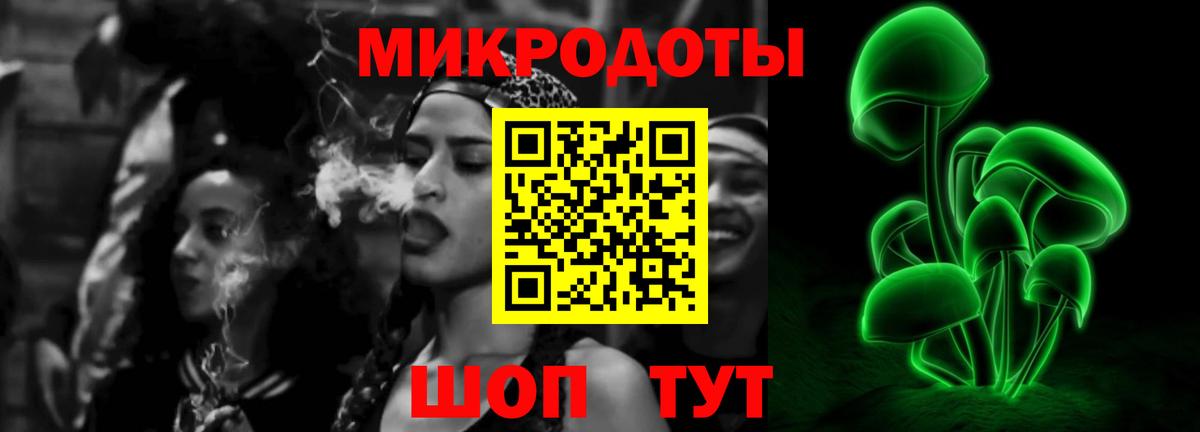 Кисловодск  Псилоцибиновые грибы Cubensis  Галлюциногенные грибы мицелий  Вход с VPN 
